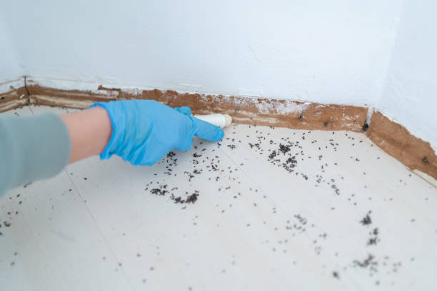 Best Residential Pest Control  in Upland, IN